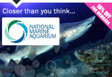 National Marine Aquarium